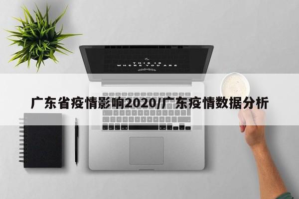 广东省疫情影响2020/广东疫情数据分析