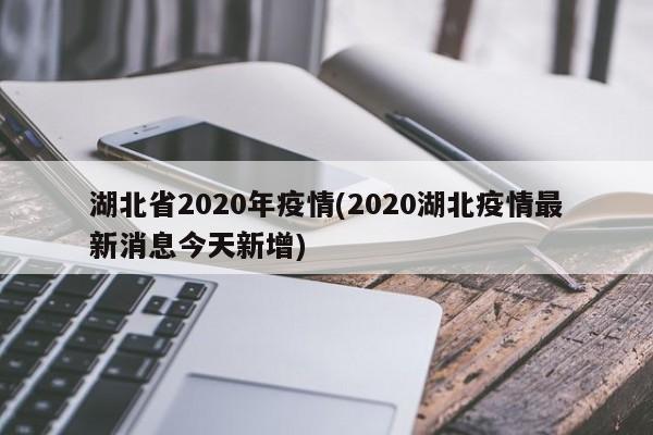 湖北省2020年疫情(2020湖北疫情最新消息今天新增)