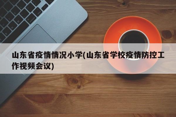 山东省疫情情况小学(山东省学校疫情防控工作视频会议)